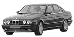 BMW E34 P0A0E Fault Code